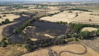 Erzincandaki yangının bilançosu drone ile görüntülendi