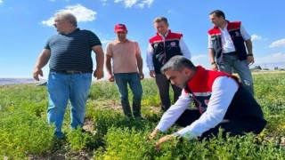 Erzurumda tarımsal destekler meyvesini veriyor