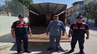 Eskişehirde çalınan büyükbaş hayvanlardan biri Bilecikte bulundu