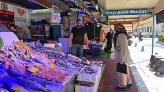 Eskişehirli balıkçıdan palamut müjdesi: Bu sene bolluk var
