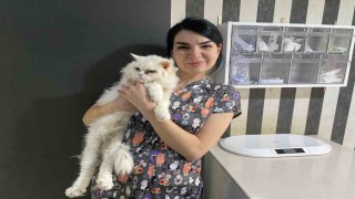 Evcil hayvanlarınızı evde tek bırakırken dikkat