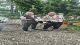 Evinin önüne gelen yaralı leyleğe sahip çıktı