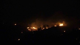 Ezinedeki orman yangınının enerjisi düşürüldü