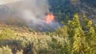 Gaziantepte çıkan orman yangını havadan ve karadan müdahaleyle söndürüldü