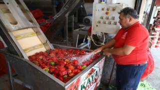 Gaziantepte kışlık salça mesaisi başladı