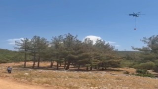 Gaziantepte orman yangını: Havadan ve karadan müdahaleyle söndürüldü
