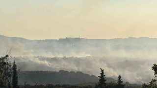 Gebzedeki orman yangını havadan görüntülendi