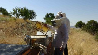 Gercüşte bal hasadı heyecanı: Üreticinin yüzü gülüyor