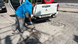 Germencikte haşere ve zararlılara karşı etkin mücadele