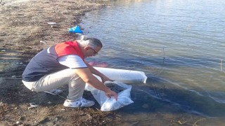 Göletlere 80 bin yavru balık bırakıldı
