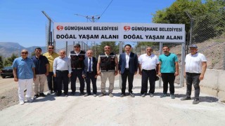 Gümüşhanede sokak hayvanları için doğal yaşam alanı açıldı
