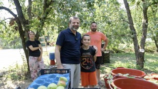 Gürsunun küçük çiftçisi herkesi kendine hayran bıraktı