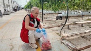 Güvenilir gıda için EKÜY çalışmaları sürüyor