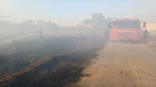 Hassada zeytinlik yangını yaşandı