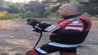 Hatayda  yerleşim yerlerinde görülen yılanlar doğal yaşam alanına bırakıldı