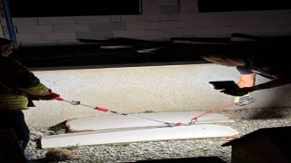 Hatayda eve giren yılanları itfaiye yakaladı