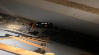 Hatayda mahsur kalan hayvanlar kurtarıldı