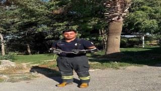 Hatayda yerleşim alanlarına giren yılanları itfaiye yakaladı