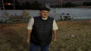 Her akşam gelip kedilerle aynı kaptan mama yiyor