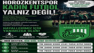 Horozkent finansal sıkıntılar yüzünden lige katılamayabilir