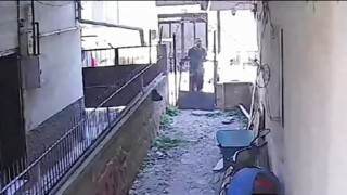 Hurdacının cesareti pes dedirtti