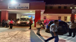 Huysuzlaşan inek sahibini ağır yaraladı