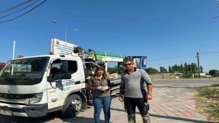 Iğdırda doğada halsiz bulunan kerkenez koruma altına alındı