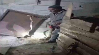 Iğdırın Yılan Bükücüsü gece gündüz demeden yılanları çıplak elle yakalıyor
