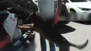 İstanbuldan uyuşturucu sevkiyatı Sakaryada durduruldu: 4 tutuklama