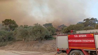 İtfaiye erleri alevlerin arasında kalan kaplumbağayı böyle kurtardı