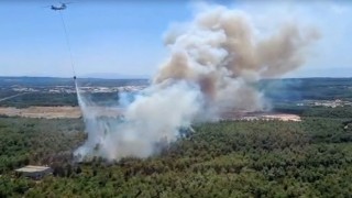 İzmir Bucada orman yangını çıktı
