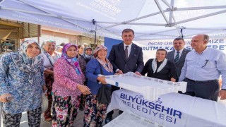 İzmir Büyükşehir Belediyesinden üreticiye kerevet desteği