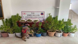 İzmirde uyuşturucu operasyonu: 3 tutuklama