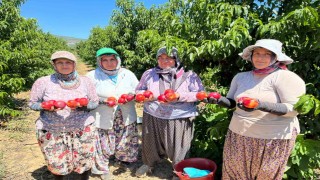İznikli nektarin üreticisinden fiyat tepkisi