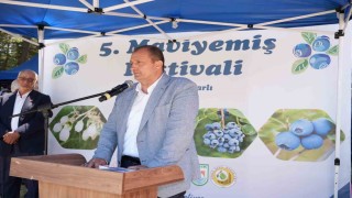 İznikte 5. Maviyemiş Festivaline yoğun ilgi