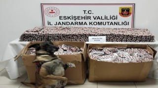Jandarma 84 bin adet sentetik ecza hapı ele geçirdi, 3 kişi tutuklandı