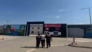 Jandarma aranan 24 kişiyi yakaladı