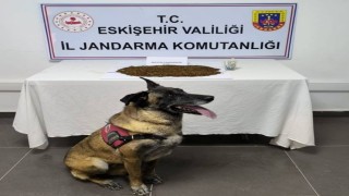 Jandarma ekiplerinden uyuşturucu operasyonu, 361 gram bonzai ele geçirildi