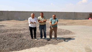 Kahramanmaraşta ay çekirdeği hasadı