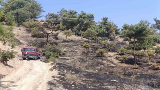 Kahramanmaraş'ta orman yangını kontrol altına alındı