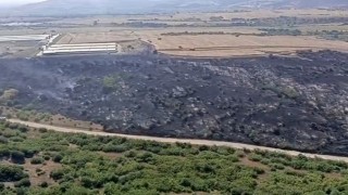 Karacabeyde makilik alandaki yangın fabrikaya ulaşmadan söndürüldü