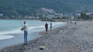 Karadenizde balık bolluğu yaşanıyor: Oltasını kapan deniz kenarına koştu
