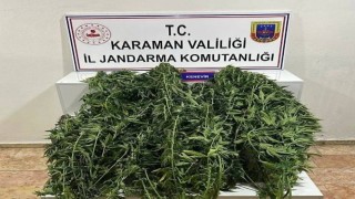 Karamanda jandarmanın yakaladığı 44 şahıstan 9u tutuklandı