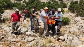 Karamanda kayalıklardan düşen avcı yaralandı