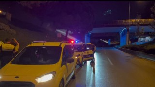 Kardeş kavgası babayı yola, polisi sokağa döktü