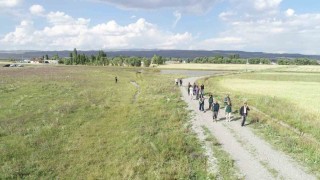 Kars ve Ardahanda 52 bin hektarlık alanda arazi toplulaştırma incelemesi