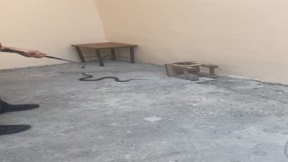 Karsta evin bahçesine giren yılan itfaiyeyi harekete geçirdi
