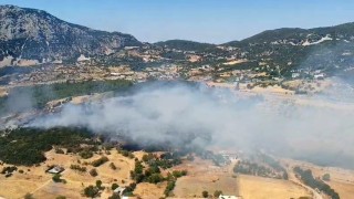 Kaşta çıkan ormanlık alan yangını 2,5 saatte kontrol altına alındı
