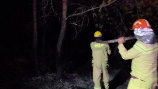 Kaştaki orman yangını büyük ölçüde kontrol altında