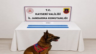 Kayseride jandarmadan uyuşturucu operasyonu: 1 gözaltı